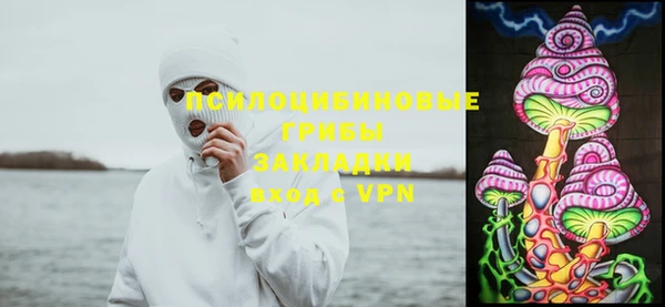 дмт Алзамай
