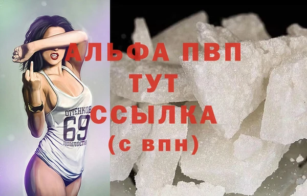 дмт Алзамай