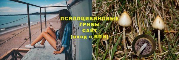 дмт Алзамай
