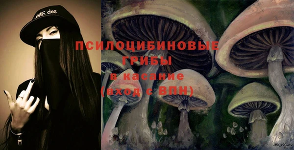 дмт Алзамай